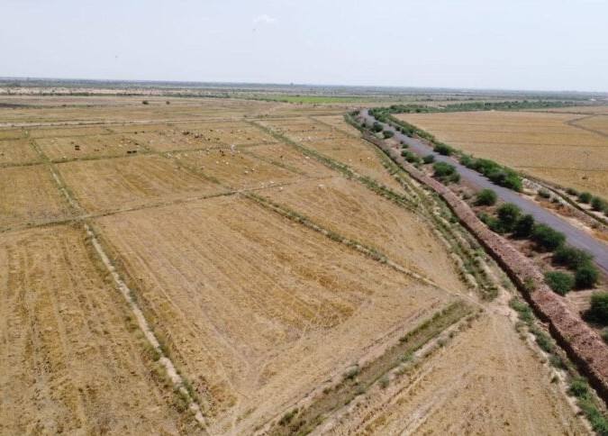 La Mauritanie et l’Italie lancent un vaste projet agricole de 10 000 hectares au Brakna