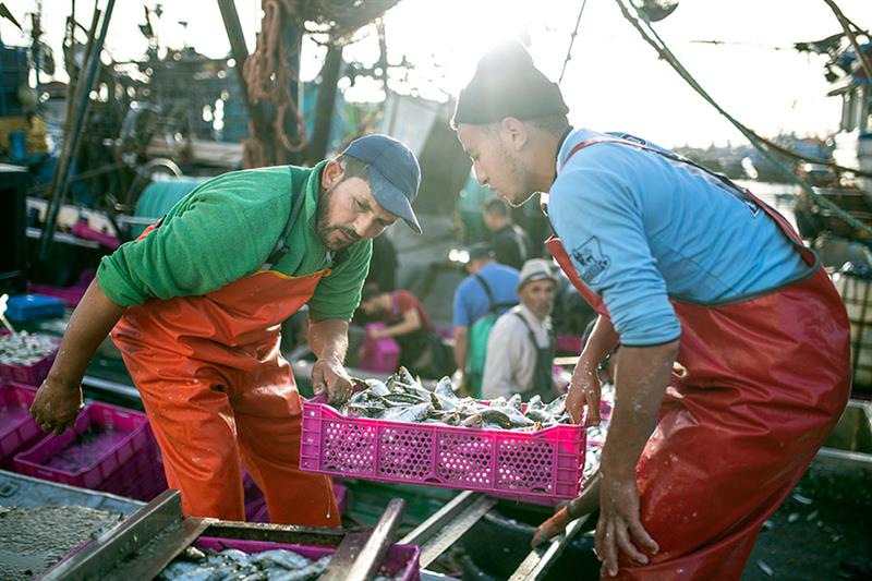 Les produits du Sahara occidental inclus dans l'accord commercial Maroc-UE