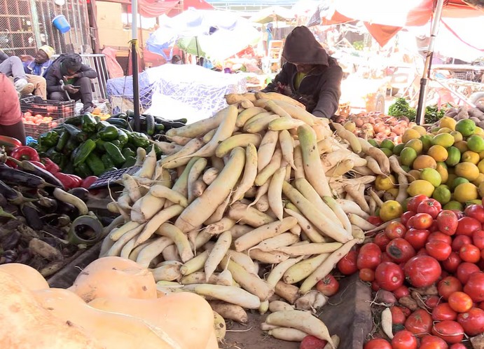 Vidéo. Mauritanie. Prix en baisse: la pastèque locale prend à contre-pied les autres fruits et légumes