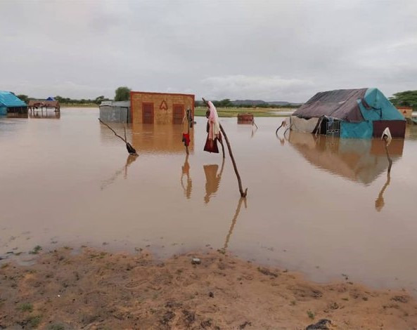 Douerara (Hodh Gharbi)- Plusieurs familles déplacées après des pluies diluviennes