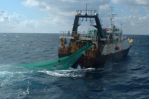 L’accord de pêche entre la Mauritanie et l’union européenne approuvé en Conseil des ministres